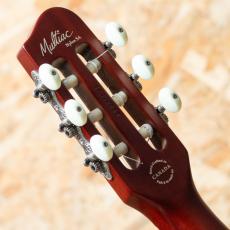 Godin Multiac Nylon SA NAT w/Roland GR-55_7