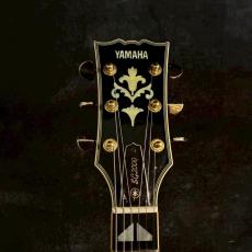YAMAHA SG2000 Sunburst【4.94kg】_4