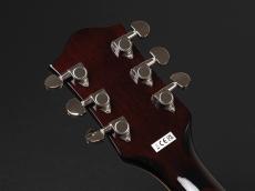 Gretsch G2655 Streamliner Center Block Jr. Double-Cut with V-Stoptail ~Midnight Sapphire~_9