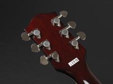Gretsch G2655T Streamliner Center Block Jr. Double-Cut with Bigsby Tropico_9
