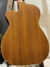 Maton 【メイトングッズプレゼントキャンペーン中】EBG808C Nashville #30019【激渋カラー】_9
