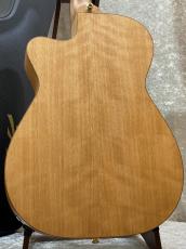 Maton 【メイトングッズプレゼントキャンペーン中】EBG808CMF #31172【良杢バック】_9