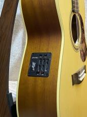 Maton 【メイトングッズプレゼントキャンペーン中】EBG808TE #31153【トミエマモデル】_10
