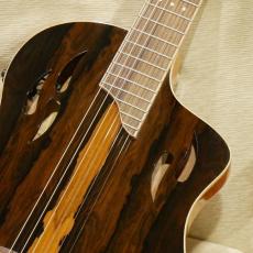 ORTEGA RTP-LTD / TourPlayer Series 【エレガット】【日本入荷20本のみの限定仕様】_4
