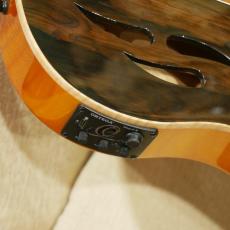 ORTEGA RTP-LTD / TourPlayer Series 【エレガット】【日本入荷20本のみの限定仕様】_5