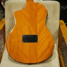 ORTEGA RTP-LTD / TourPlayer Series 【エレガット】【日本入荷20本のみの限定仕様】_10