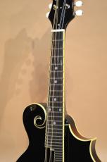 Loar LM-520-VS　2021年頃_5