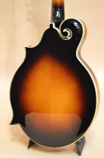 Loar LM-520-VS　2021年頃_8