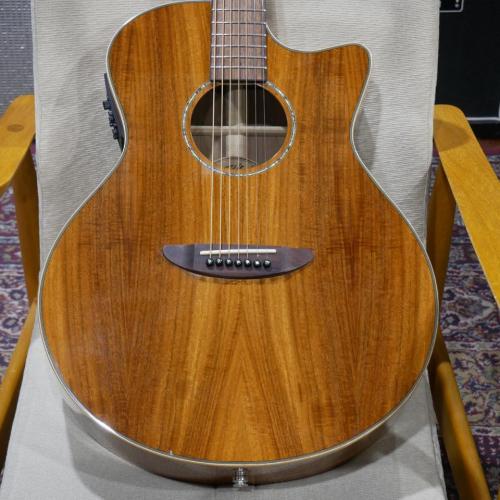 ELK STEEL 7 II / KOA 【7弦エレアコ】