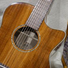 ELK STEEL 7 II / KOA 【7弦エレアコ】_4