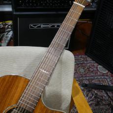 ELK STEEL 7 II / KOA 【7弦エレアコ】_5