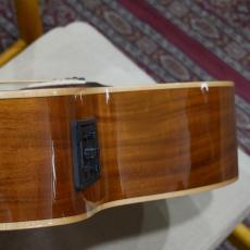 ELK STEEL 7 II / KOA 【7弦エレアコ】_9