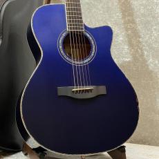 エレアコの検索結果1～50件【楽器検索｜Jギター】
