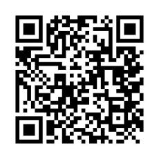 Fender MIJ LTD RAW ASH STRATOCASTER 3TS ≒4.16kg #JD25006923_11