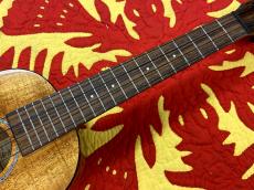 Majesty MT-1 KPN【アキオオリジナル】_4