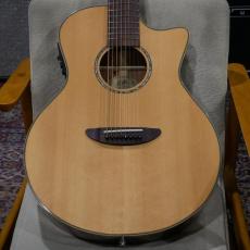 ELK STEEL 8 / Natural 【8弦エレアコ】