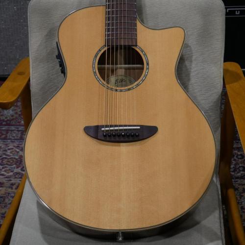 ELK STEEL 8 / Natural 【8弦エレアコ】