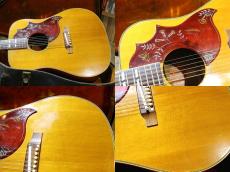 Gibson 1968 Hummingbird_4