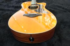 YAMAHA AC5M ARE_5