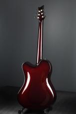 Emerald Guitars X20 Royal Ebony RED_3