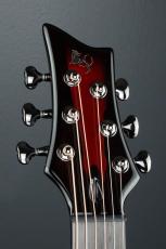 Emerald Guitars X20 Royal Ebony RED_8