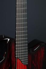 Emerald Guitars X20 Royal Ebony RED_10