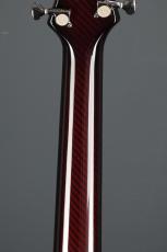 Emerald Guitars X20 Royal Ebony RED_12
