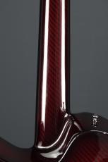 Emerald Guitars X20 Royal Ebony RED_13