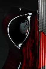 Emerald Guitars X20 Royal Ebony RED_14