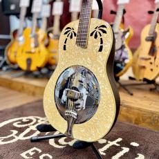 Ovation Celebrity Resonator CD100-WP_2