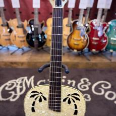 Ovation Celebrity Resonator CD100-WP_3