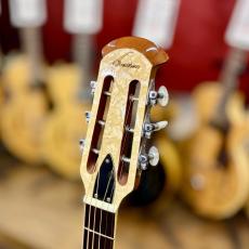 Ovation Celebrity Resonator CD100-WP_4