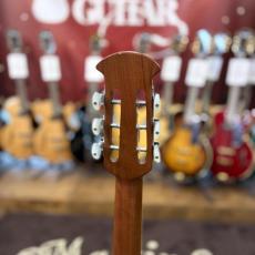 Ovation Celebrity Resonator CD100-WP_5