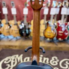 Ovation Celebrity Resonator CD100-WP_6