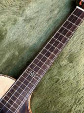 Seilen SLTSC-890Es(B) 【2025年製】【テナー/カッタウェイ】【スプルース/ハカランダ】【ピックアップ搭載】【24回金利0%対象】【送料込】_8