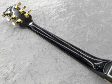 Burny RLC-60 BLK Mod._6