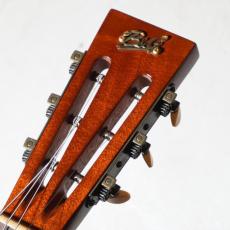 B&G Guitars 2015 Private Build Little Sister Cutaway P90s_8