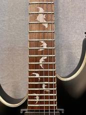 SCHECTER Damien Platinum 6 LH (AD-DM-PTM LH) -Satin Black- 2013年製【Lefty】_6