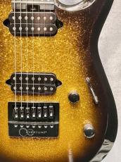 Jackson Pro Plus DK Modern Evertune 7 -Gold Sparkle- 2023年製【7弦】_8