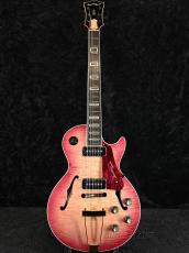 Seventy Seven Guitars 【夏のボーナスセール】STORK-TOCHI PP-WSE'23/E-RBR-B-_2