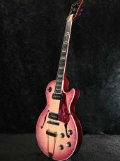 Seventy Seven Guitars 【夏のボーナスセール】STORK-TOCHI PP-WSE'23/E-RBR-B-_3