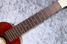 FgN 【夏のボーナスセール!!】FUS-TC-02 #24A0007【コンサート】【ハワイアンコア単板】【池袋店在庫品】_9