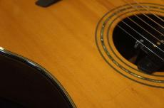 Furch Guitars D23-SR_11