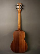 Kanile'a K-1T SF【USED/2014年】_12