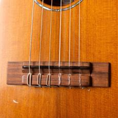 Craft Musica Wild Horse Tenor 6ST 2016_3