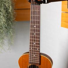 Craft Musica Wild Horse Tenor 6ST 2016_5