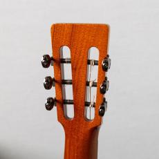 Craft Musica Wild Horse Tenor 6ST 2016_6