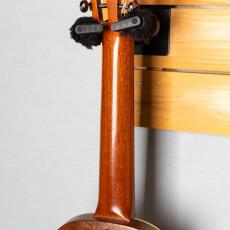 Craft Musica Wild Horse Tenor 6ST 2016_8