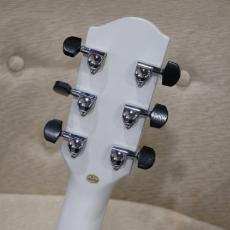 ELK Delsteel 6 / White Sparkle 【薄型エレアコ】_10
