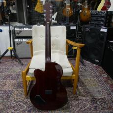 ELK Delsteel 7 / Natural 【薄型7弦エレアコ】_7